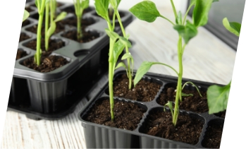 Applications Agriculture